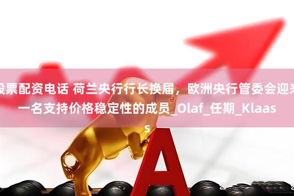 股票配资电话 荷兰央行行长换届，欧洲央行管委会迎来一名支持价格稳定性的成员_Olaf_任期_Klaas