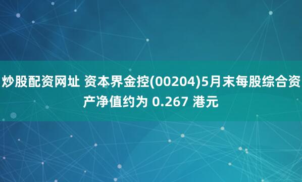 炒股配资网址 资本界金控(00204)5月末每股综合资产净值约为 0.267 港元