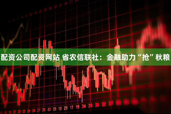 配资公司配资网站 省农信联社：金融助力“抢”秋粮