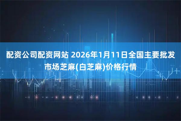 配资公司配资网站 2026年1月11日全国主要批发市场芝麻(白芝麻)价格行情