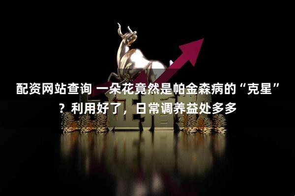 配资网站查询 一朵花竟然是帕金森病的“克星”？利用好了，日常调养益处多多